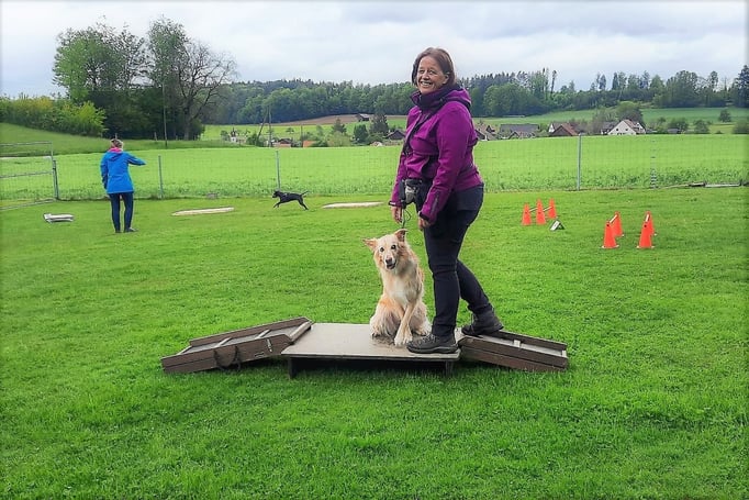 Hundeplausch/Plauschgruppe © Hundeschule gooddog