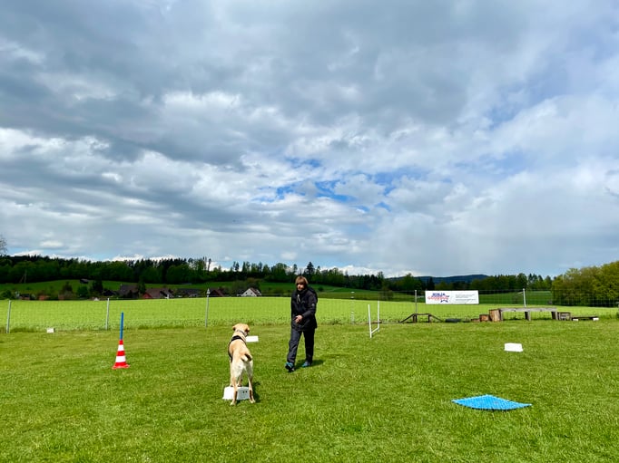 ZirkelSpass © Hundeschule gooddog