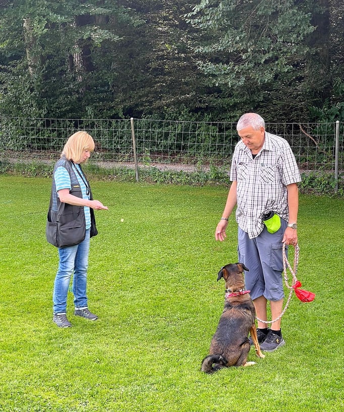 Anti-Giftköder-Kurs @ Hundeschule gooddog