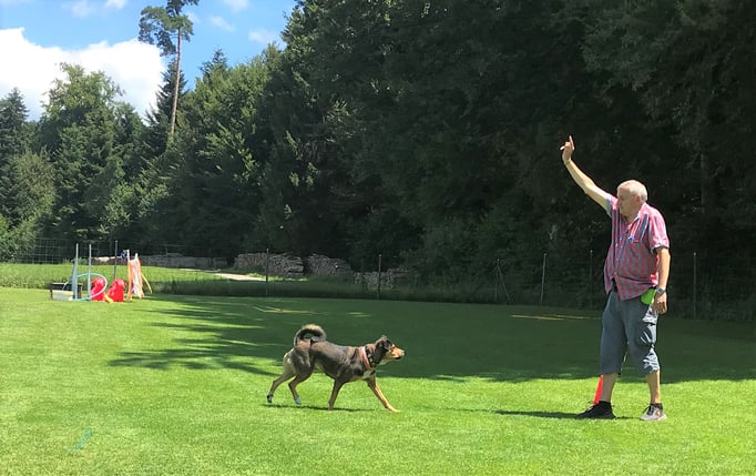 Führung © Hundeschule gooddog