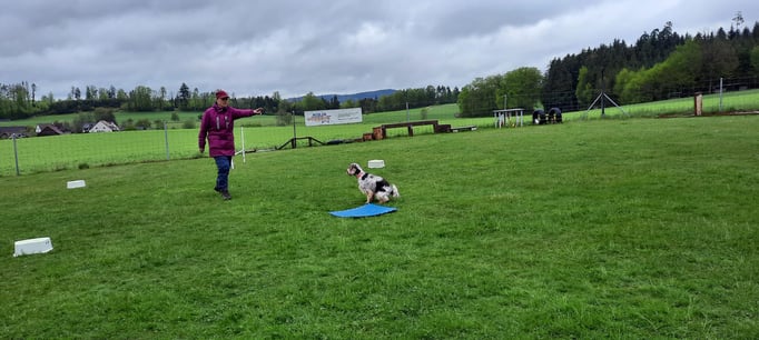 ZirkelSpass © Hundeschule gooddog