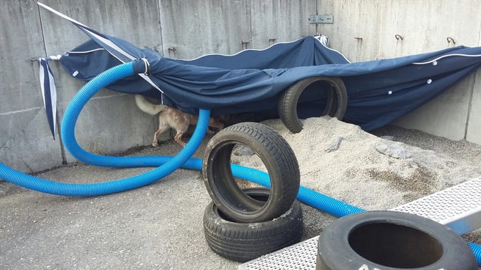 Objektsuche © Hundeschule gooddog