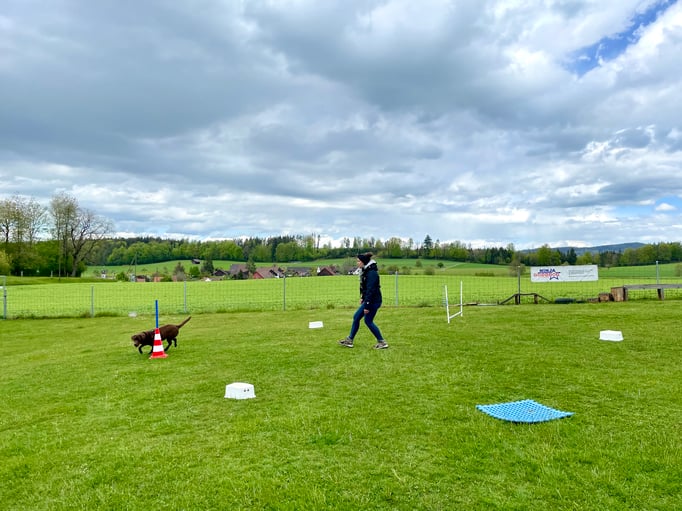 ZirkelSpass © Hundeschule gooddog