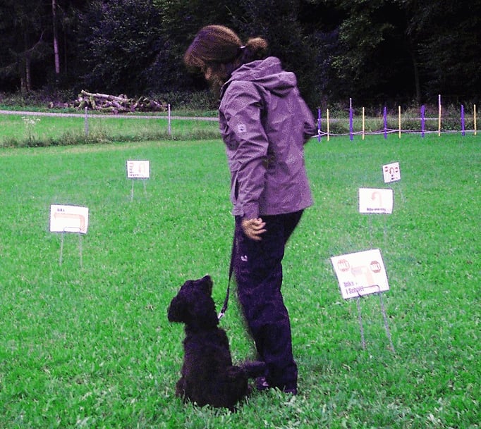 Rally-Obedience © Hundeschule gooddog