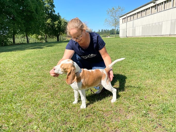 Ringtraining © Hundeschule gooddog