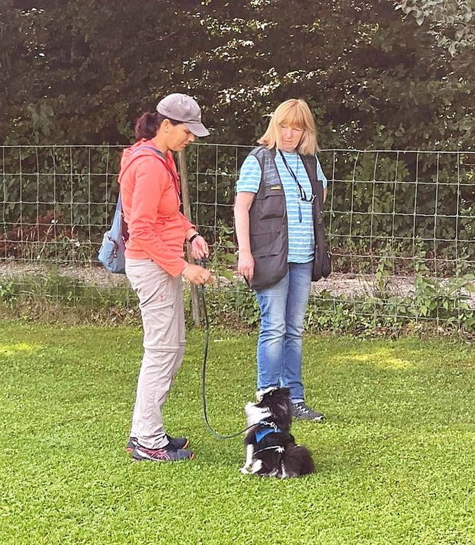 Anti-Giftköder-Kurs @ Hundeschule gooddog
