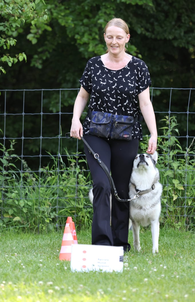 Rally-Obedience © Hundeschule gooddog