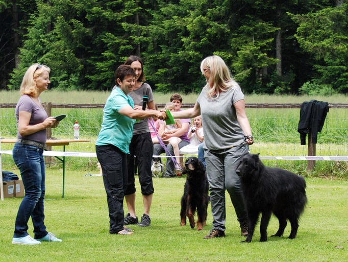 Ringtraining © Hundeschule gooddog