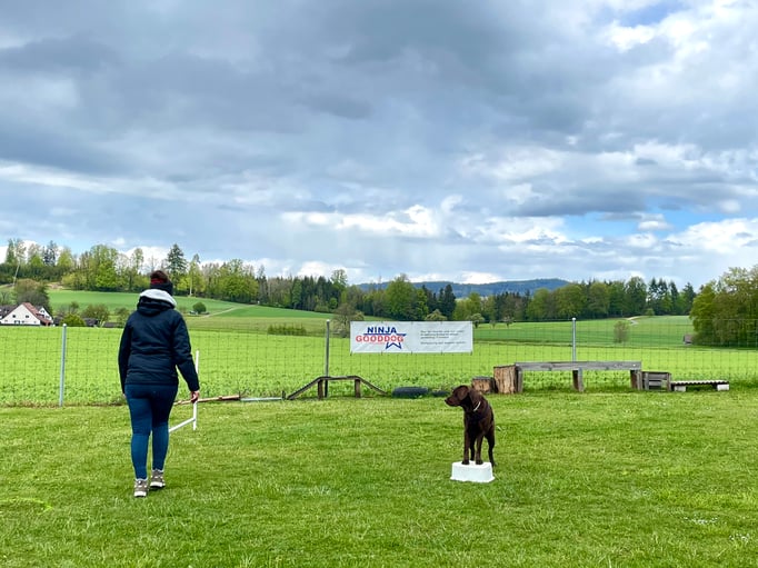 ZirkelSpass © Hundeschule gooddog