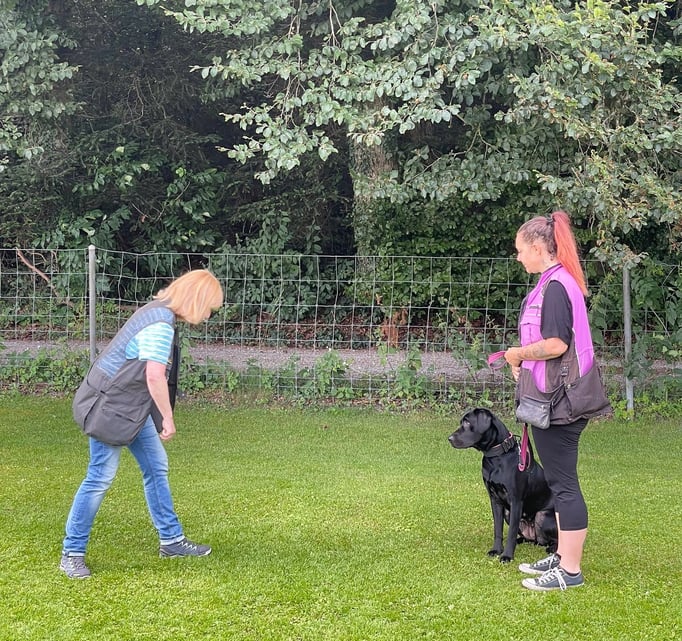 Anti-Giftköder-Kurs @ Hundeschule gooddog