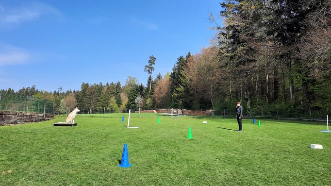 ZirkelSpass © Hundeschule gooddog