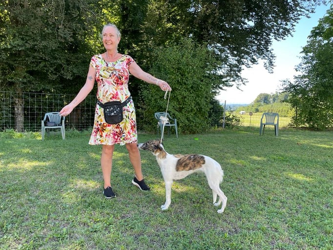 Ringtraining © Hundeschule gooddog