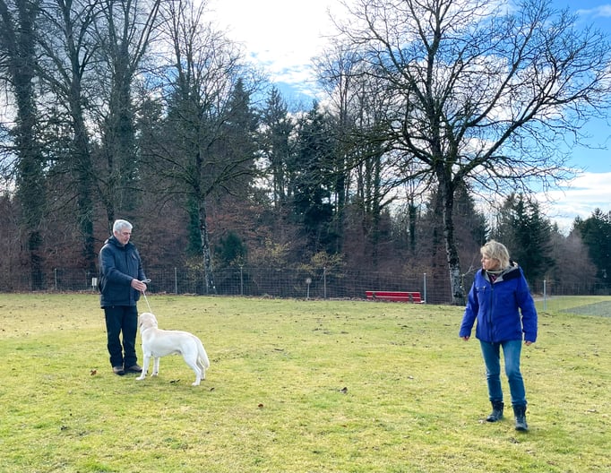 Ringtraining © Hundeschule gooddog