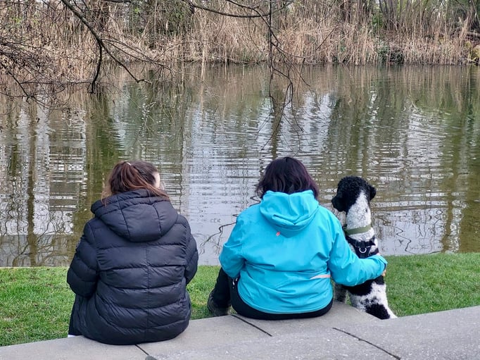 Führung © Hundeschule gooddog