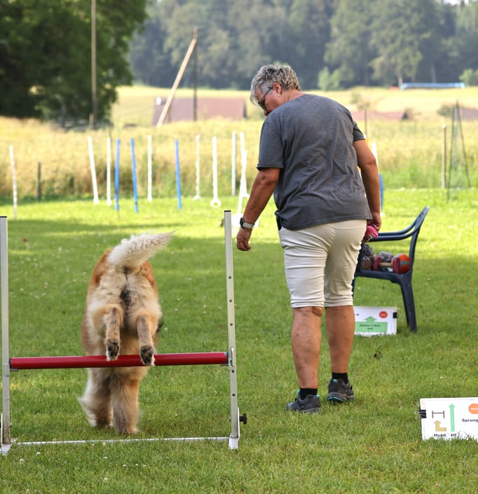 Rally-Obedience © Hundeschule gooddog