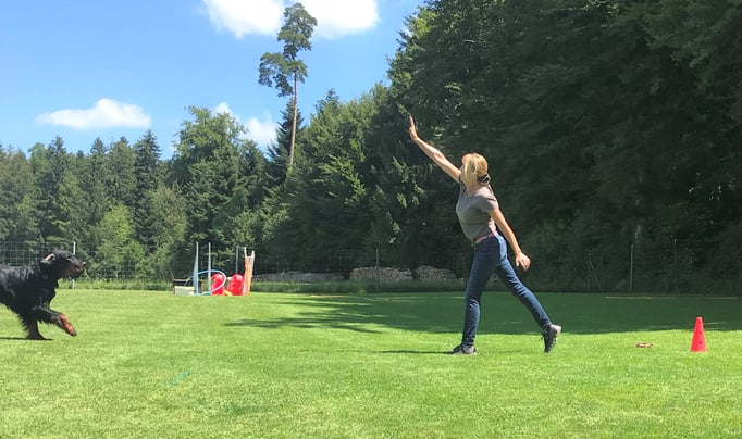 Führung © Hundeschule gooddog