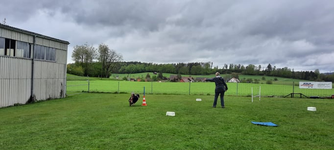 ZirkelSpass © Hundeschule gooddog