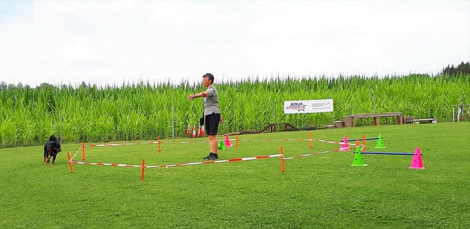 Longierkurs © Hundeschule gooddog