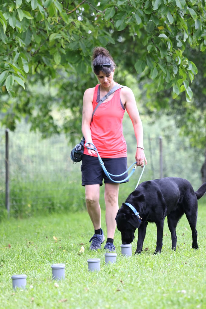 SpassSport © Hundeschule gooddog