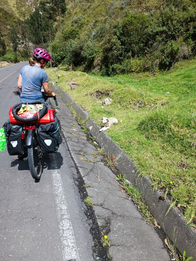 Auf dem Via Flores Antigua Richtung Chimborazo