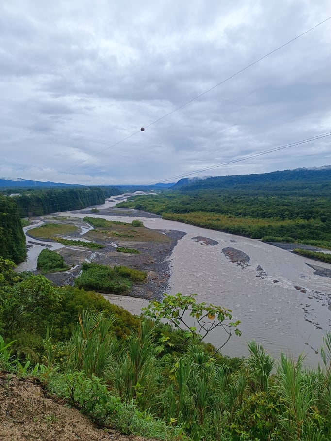 Auf dem Weg in den Dschungel