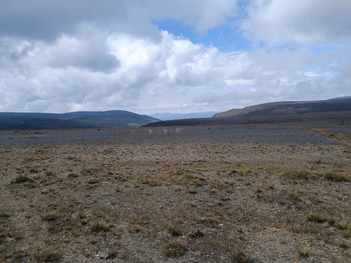 Weiter Richtung Chimborazo