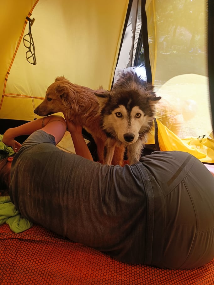 ...oder stürmen es auch