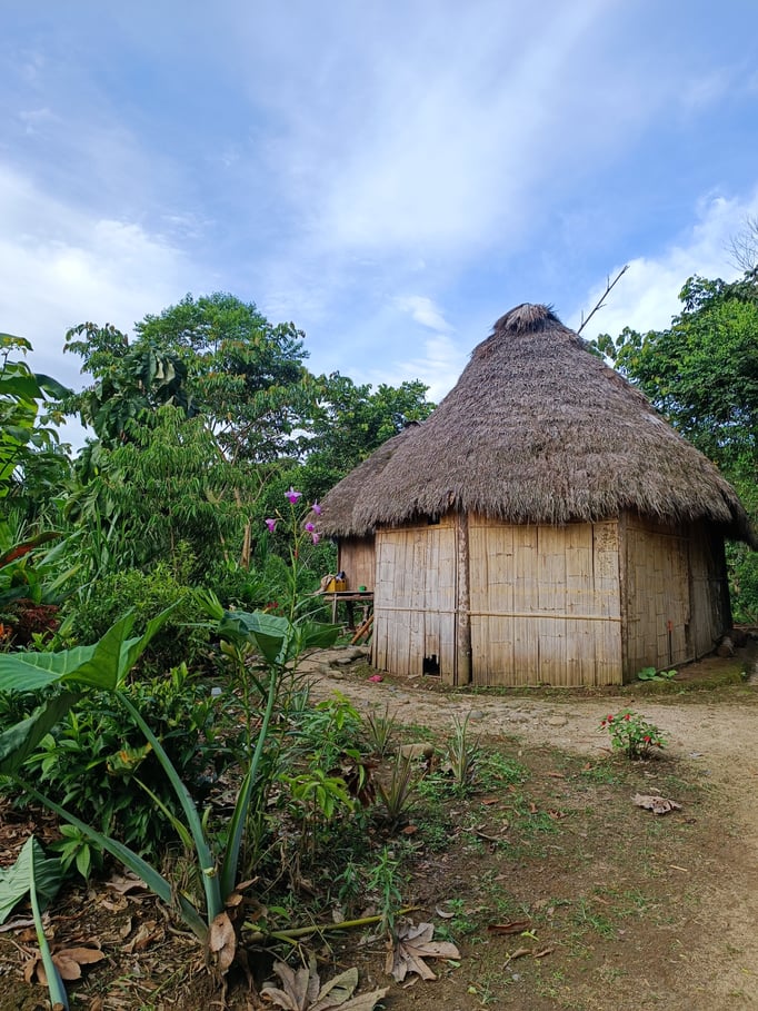 Auf der Dschungeltour