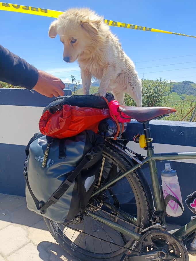 Auf dem Panamericana Highway