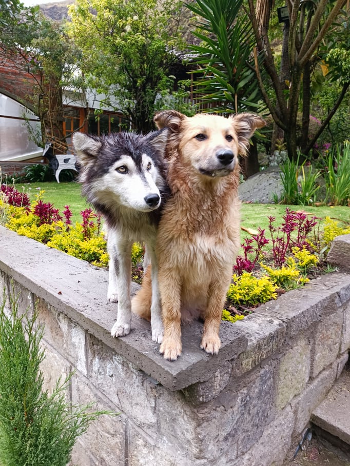 und unsere 2 Lieblinge