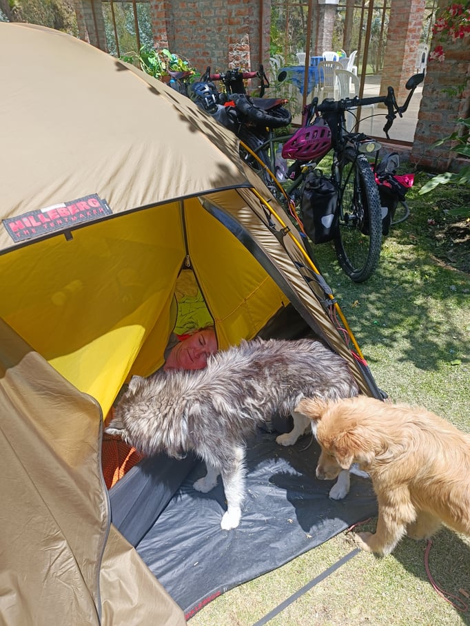 ...oder stürmen es auch