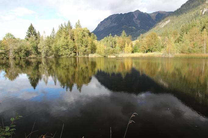 Tolle Spiegelungen am Moorweiher in Oberstdorf