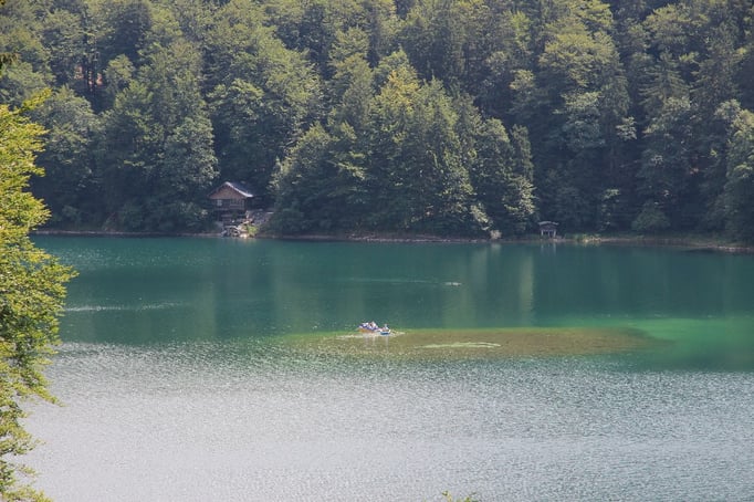 Blick auf den Freibergsee