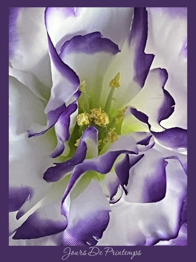 Lisianthus artificiel haut de gamme