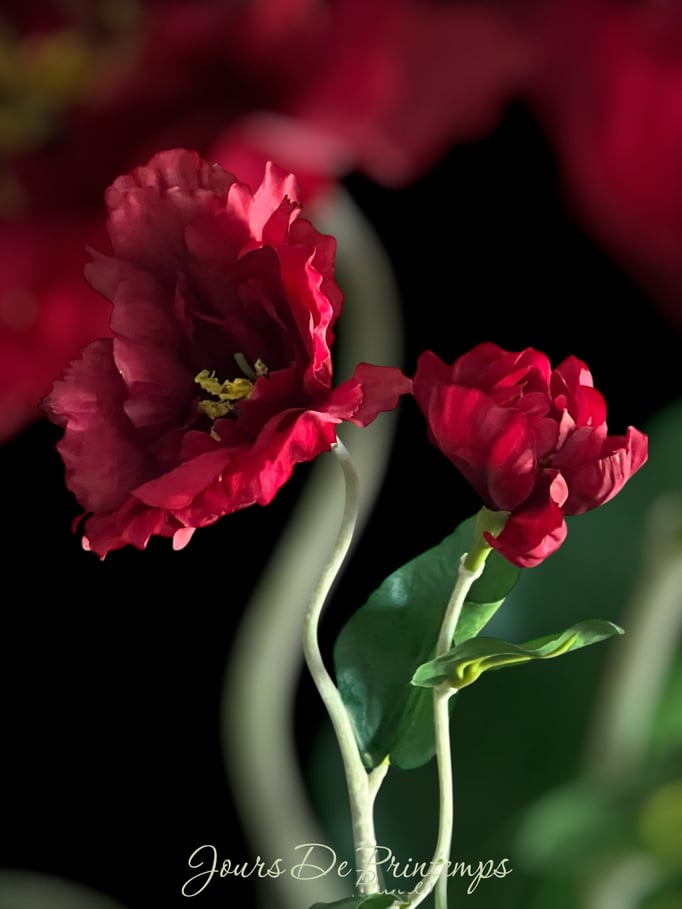 Lisianthus artificiel haut de gamme