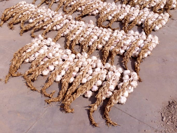 geflochtene Zöpfe trocknen noch etwas