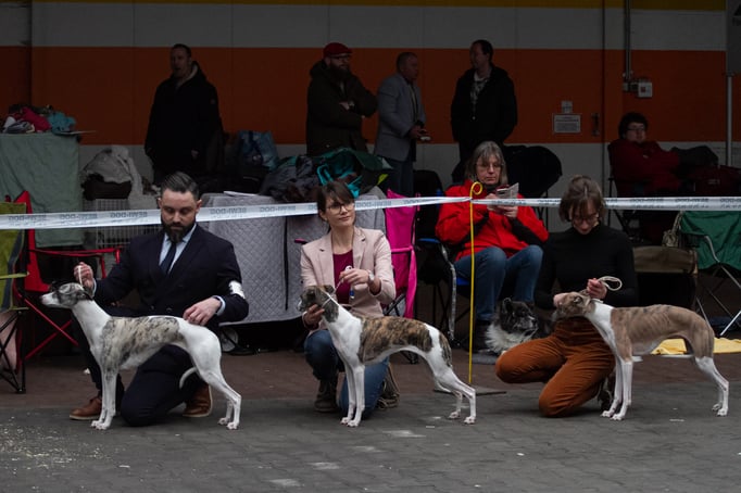 Daphne von Boitin und Freya von B.