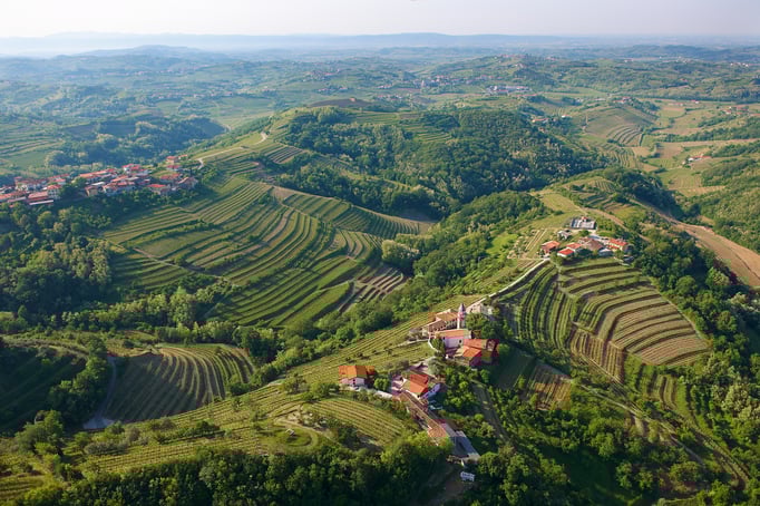 Mit einem Glas slowenischen Wein den Blick über die Goriska Brda schweifen lassen ©www.slovenia.info, ZTKMŠ Brda archive