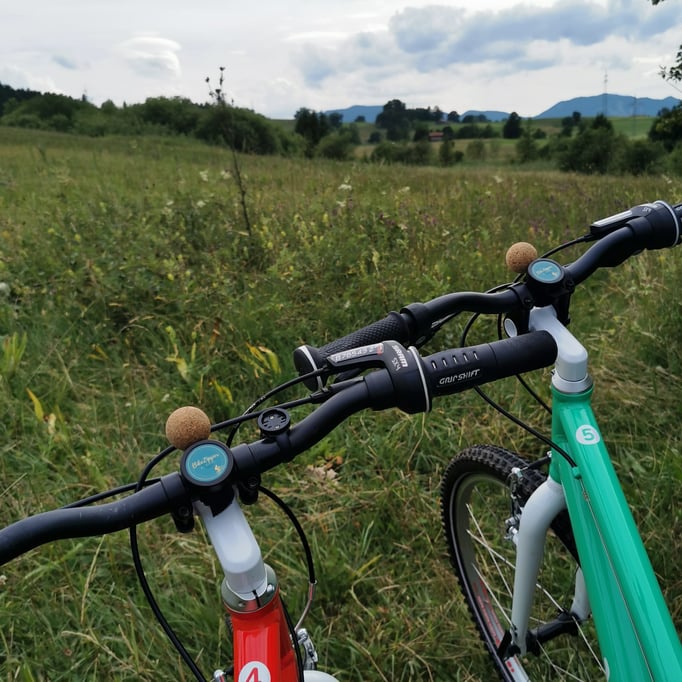 Der BikeZipper ist ein kleines, leichtes und stabiles Abschleppseil für Kinderlaufräder und Kinderräder