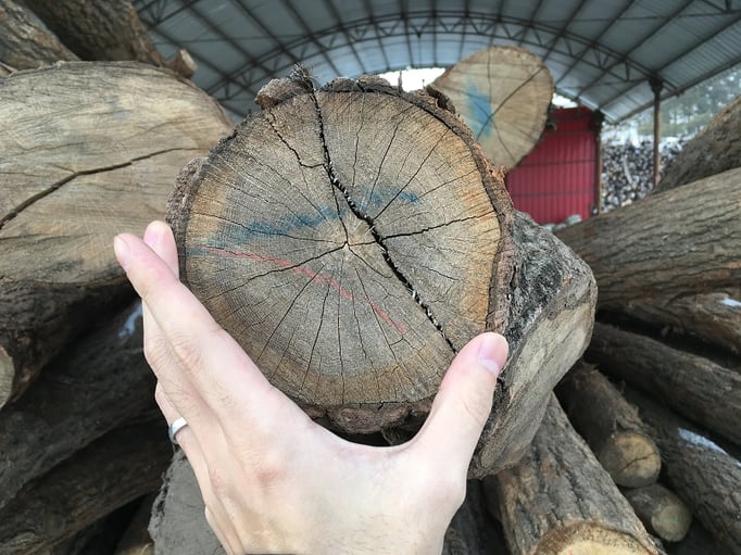 オーク 丸太 無垢フローリング 製材