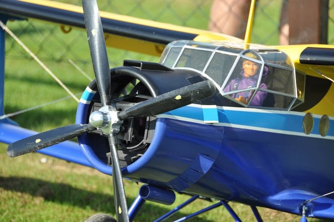 Detailansicht der Antonov An-2