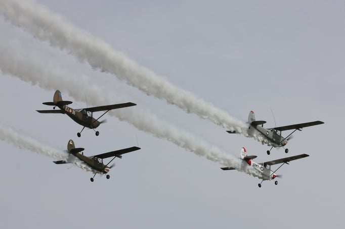 Bird Dog Patrol 2016 (Foto: Henk Wadman)