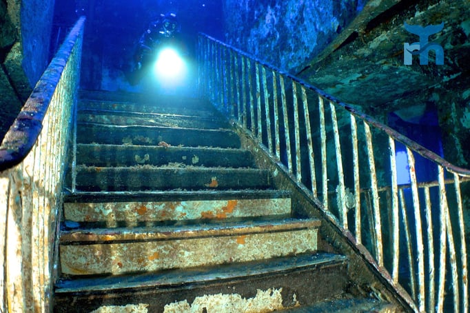  Fliegen im Treppenhaus der MS Karvela ohne gesundheitliche Schäden © Robert Hansen