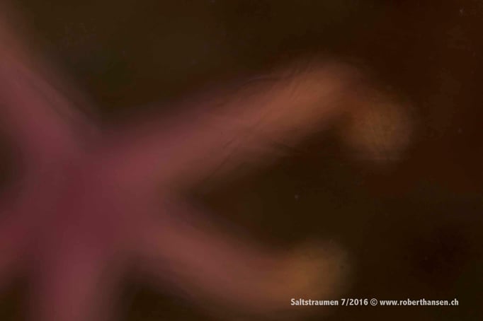  Unterschiedliche Wassertemperaturen der Schichten lassen das Bild verschwimmen © Robert Hansen