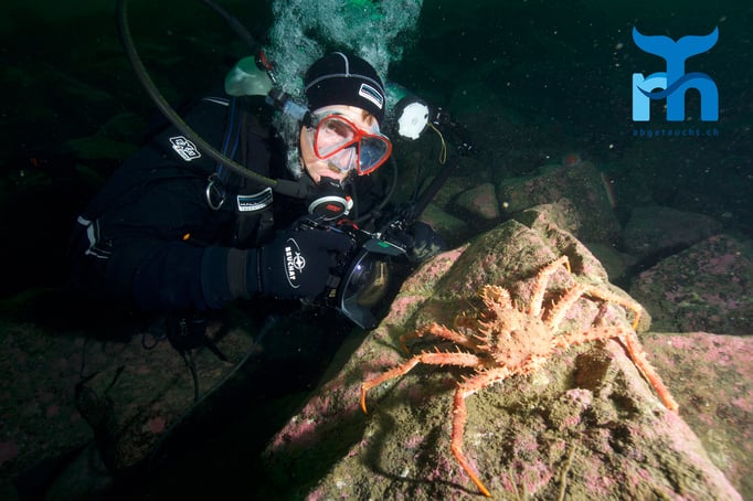  Sven Gust fotografiert eine Trollkrabbe © www.roberthansen.ch