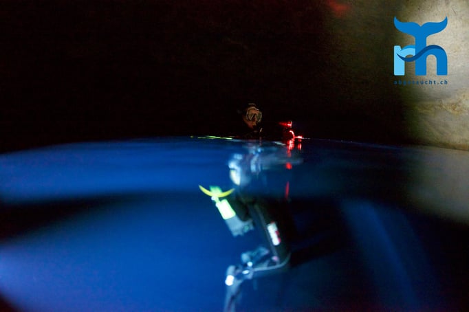  Auftauchen in der Billinghurst © Robert Hansen, April 2016