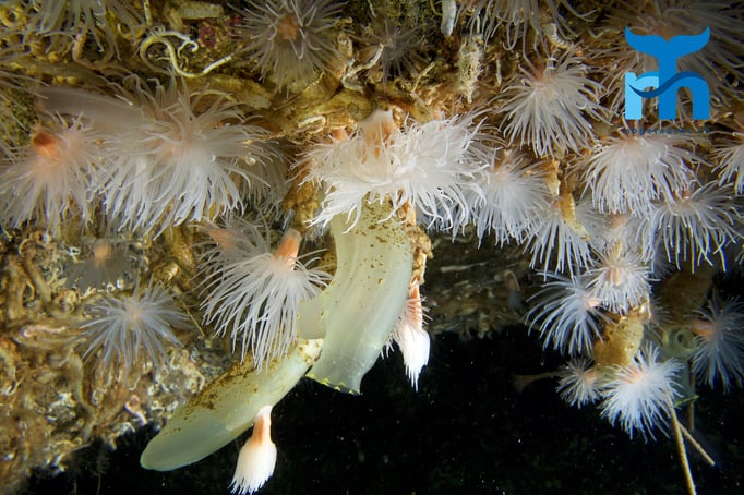  Wer erwischt den besten Platz? © www.roberthansen.ch