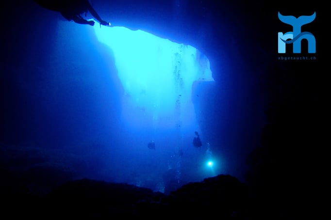  Die Billinghurst zieht Taucher in Massen an © Robert Hansen, Gozo Oktober 2015