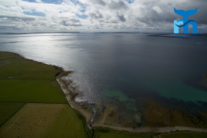 Die Küstenlinie bei Scapa Flow © Robert Hansen