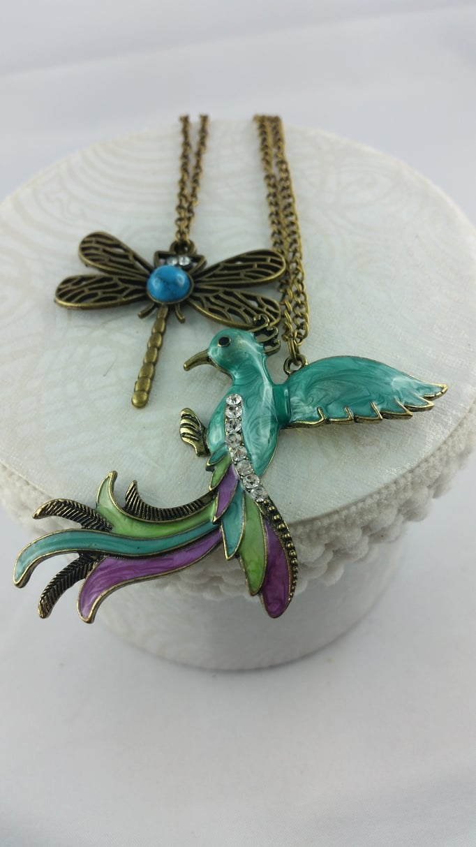 Paradiesvogel und Libelle 